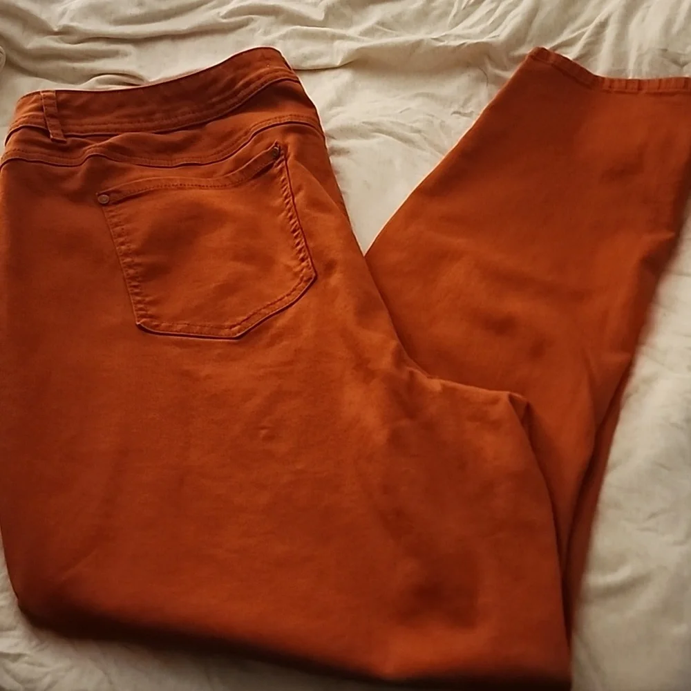 Cato High Rise Jeggings - Picture 1 of 2